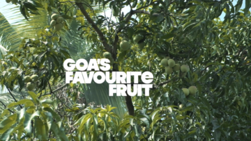 goas favourite fruit